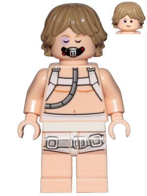 Minifig sw0957
