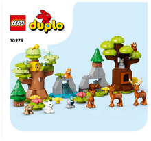 Instruction 10979-1