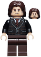 Minifig hp297