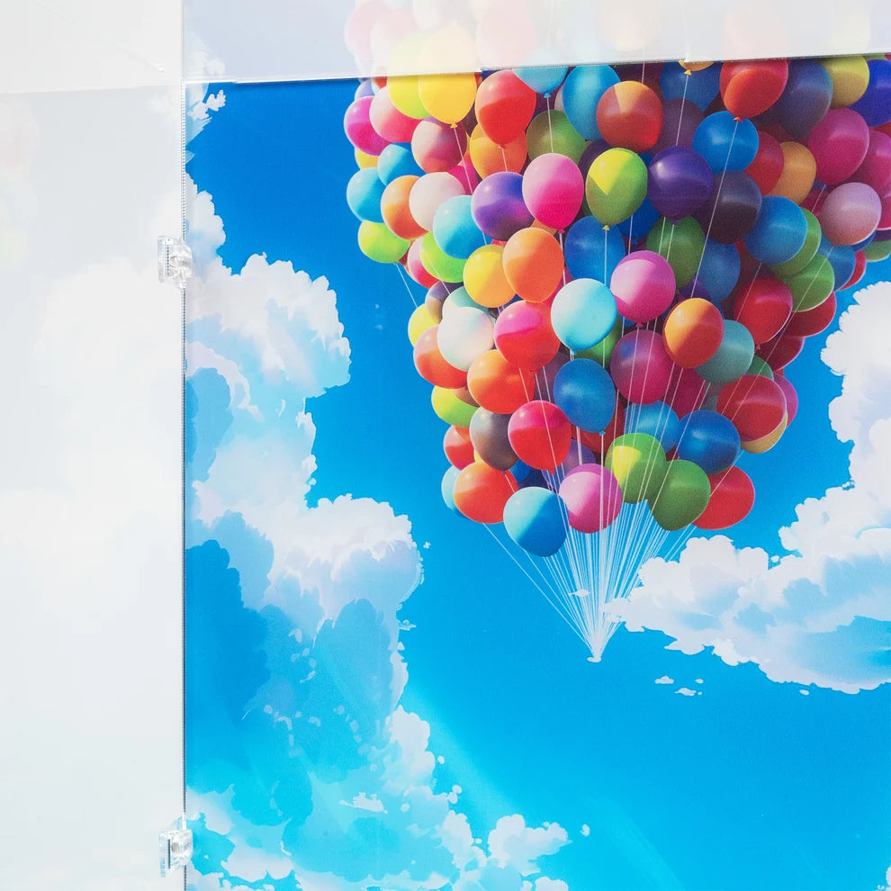 LEGO® ‘Up’ House Display Case with UV Printed Background (Floating) (43217) by Kingdom Brick Supply