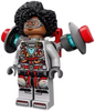 Minifig sh0848