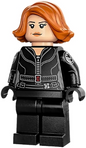 Minifig sh0851