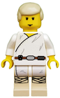 Minifig sw0021