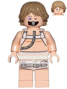 Minifig sw0957