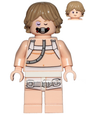Minifig sw0957
