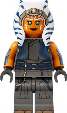 Minifig sw1300