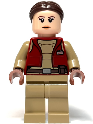 Minifig sw1303