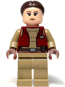 Minifig sw1303