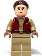 Minifig sw1303