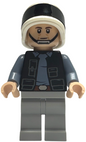Minifig sw1391